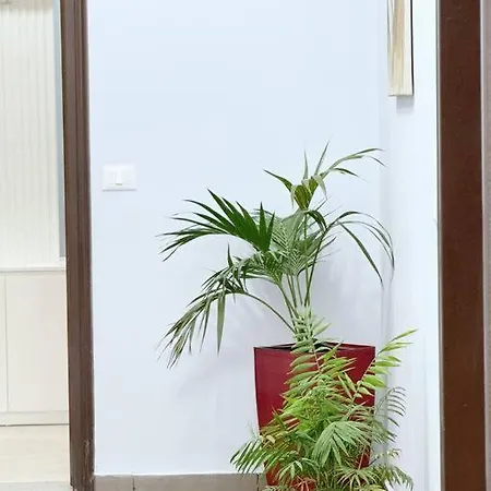 Apartment Aem 2 Bedroom Apt #1 Golem (Tirana)